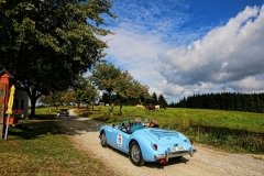 IMG_7341 (1)
