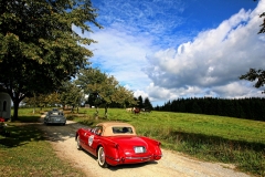 IMG_7344 (1)
