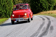 IMG_7484 (1)