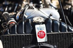 LR-230908152518-MMPHOTO9